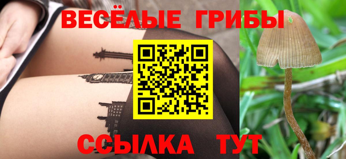 Псилоцибиновые грибы мухоморы  Псилоцибиновые грибы прущие грибы  Вход с VPN  Апатиты 